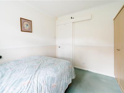 Picture 12